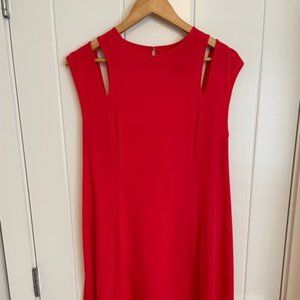 BCBG shift dress